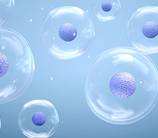 源于經典，細胞計數的新篇章