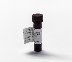 細(xì)胞計(jì)數(shù)用臺(tái)盼藍(lán)染料or AOPI熒光染料？