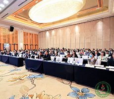 學(xué)術(shù)年會 | 博大博聚攜手言康生物共同參與“2022年學(xué)術(shù)年會暨科研實驗室規(guī)范化建設(shè)與管理培訓(xùn)班”