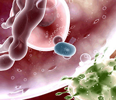 免疫療法，你值得關(guān)注！