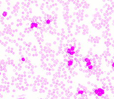 新型號(hào)上市 | JSY系列細(xì)胞計(jì)數(shù)儀迎來新伙伴！