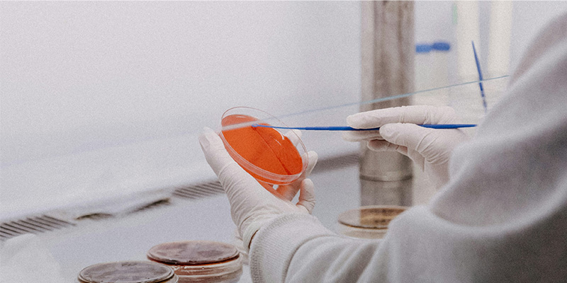 告別人工誤差：這款微生物細胞計數(shù)儀，用亞甲基藍原理算準酵母活率