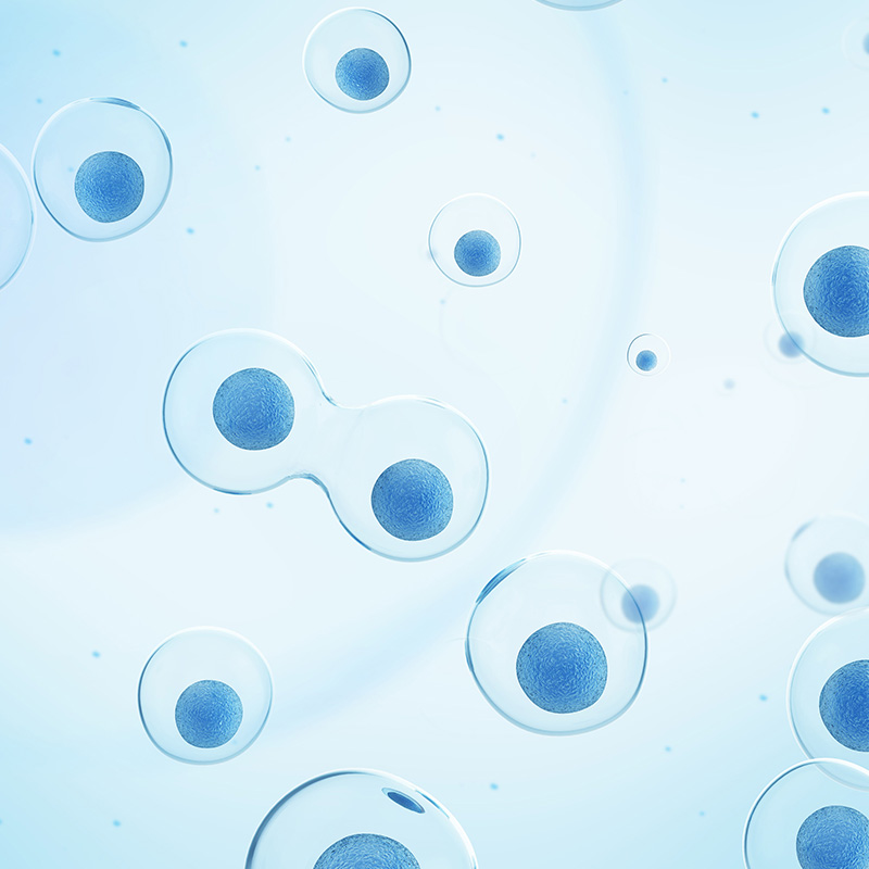 賦能生命科學研究：博大博聚細胞分析產(chǎn)品全系列解決方案